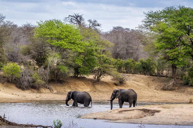 Private Game Reserve, Greater Kruger